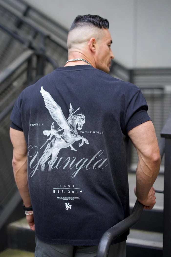 Pegasus Tees Light